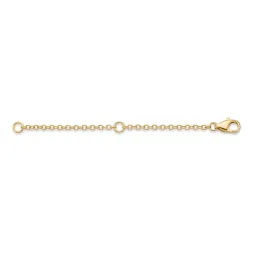 Necklace / Bracelet Extender 3" (Gold)