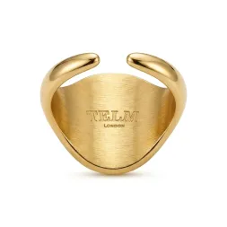 Halo Signet Ring - Gold / Black